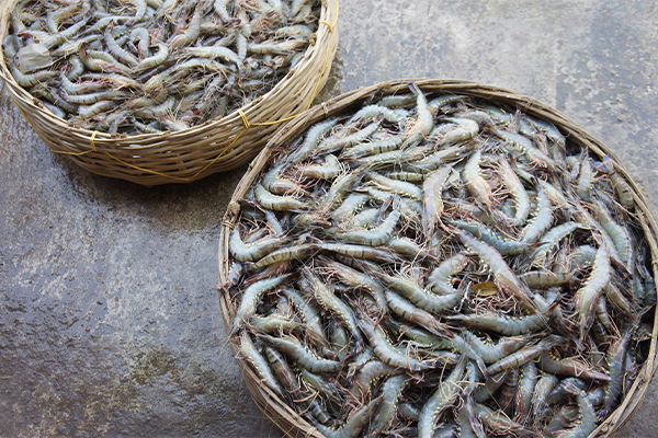 zwei geflochtene Körbe angefüllt mit Garnelen