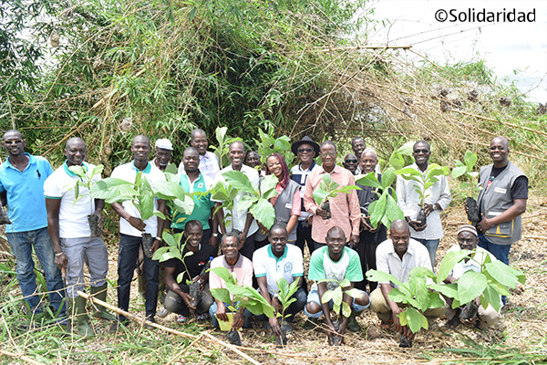 Eine Gruppe von Kleinbauern halten kleine Ölpalmen in der Hand
