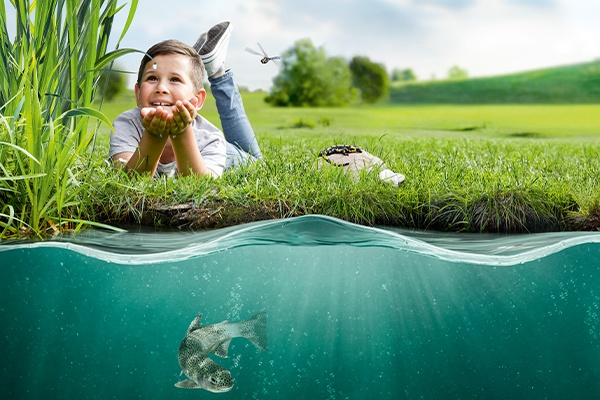 Wasserschutz Verantwortungsvolles Handeln Hofer