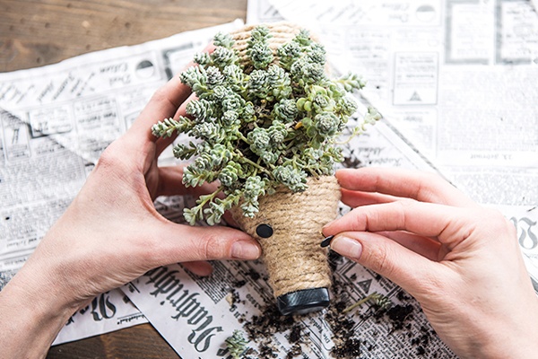 Igel-Blumentopf kreativ dekorieren