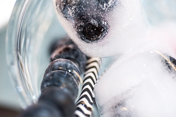 Beeren-Eiswürfel für sommerliche Getränke