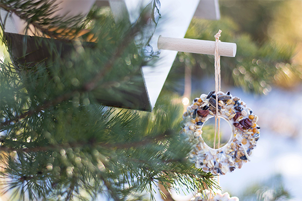 Vogelhaus inmitten einer Tanne mit einem Vogelfutterring.