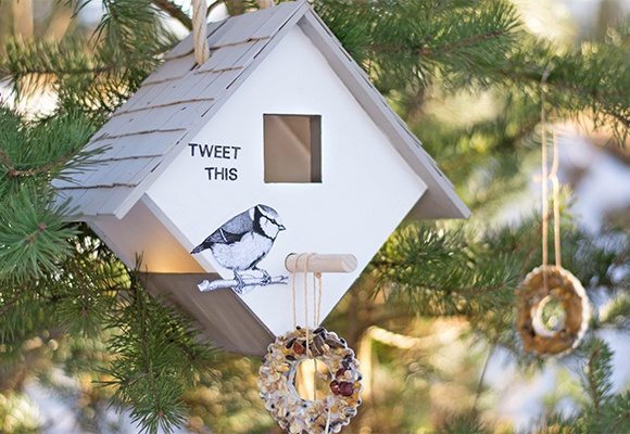 Vogelfutterhäuschen