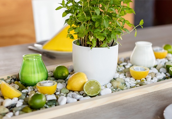 DIY: Natürliche Zitronen- und Limettendeko für einen sommerlichen Tisch