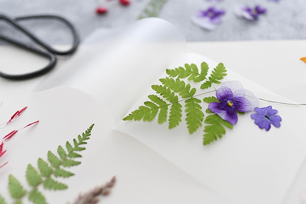 DIY-Lesezeichen aus gepressten Blüten und Blättern zusammenlegen