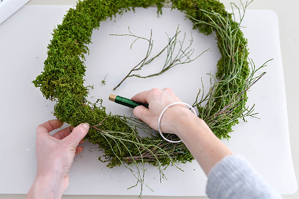 Mooskranz wird mit einem Draht gebunden