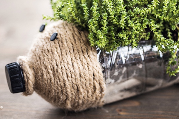 Upcycling-Deko aus Plastikflaschen und Blumen