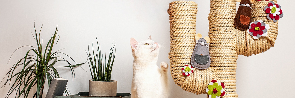 Weiße Katze mit einem Kratzbaum und Pflanzen