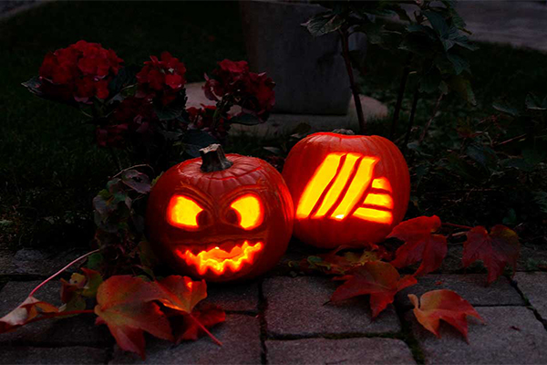 Geschnitzte Kürbisse mit HOFER Logo und gruseligem Gesicht leuchten im Dunklen
