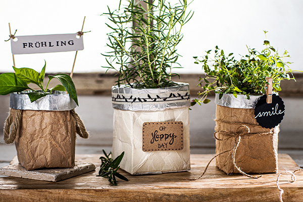 Kräutertöpfe aus Milchtüten