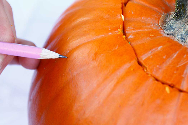 Mit Bleistift wird eine Skizze auf einem Kürbis vorgenommen