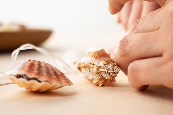 Die Muscheln mit dem Licht im Innenraum wieder zusammensetzen