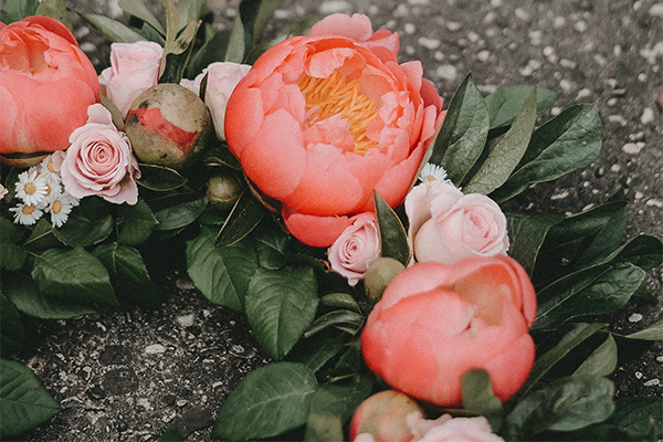 Blumenkranz mit Pfingstrosen
