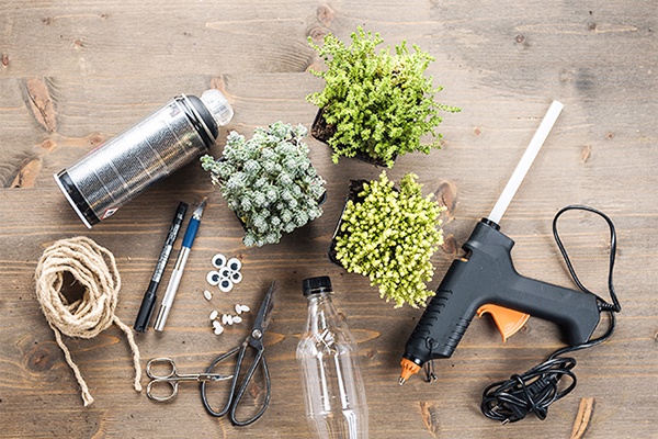 Das brauchst du für den süßen Pflanzen-Igel