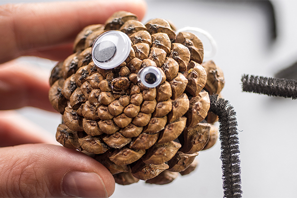 Auf einem Zapfen sind Kulleraugen und Pfeifenputzer bilden Füße dar