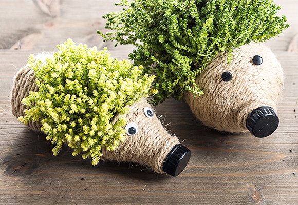 Süßer Pflanzen-Igel aus Plastikflaschen und Schnüren ganz einfach selbst gemacht 