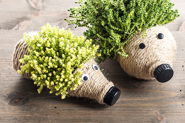 Drei süße Pflanzen-Igel als Garten-Deko