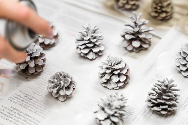 Kieferzapfen werden weiß besprüht