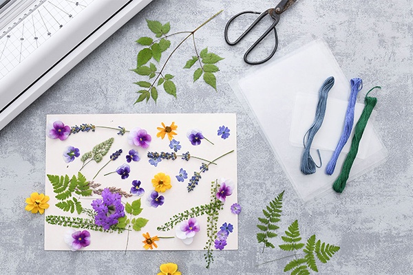 Blüten und Blätter für das individuelle Lesezeichen pressen