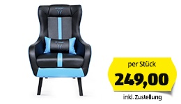 MEDION Gaming-Sessel X89110