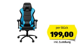 MEDION Gaming-Sessel X89018