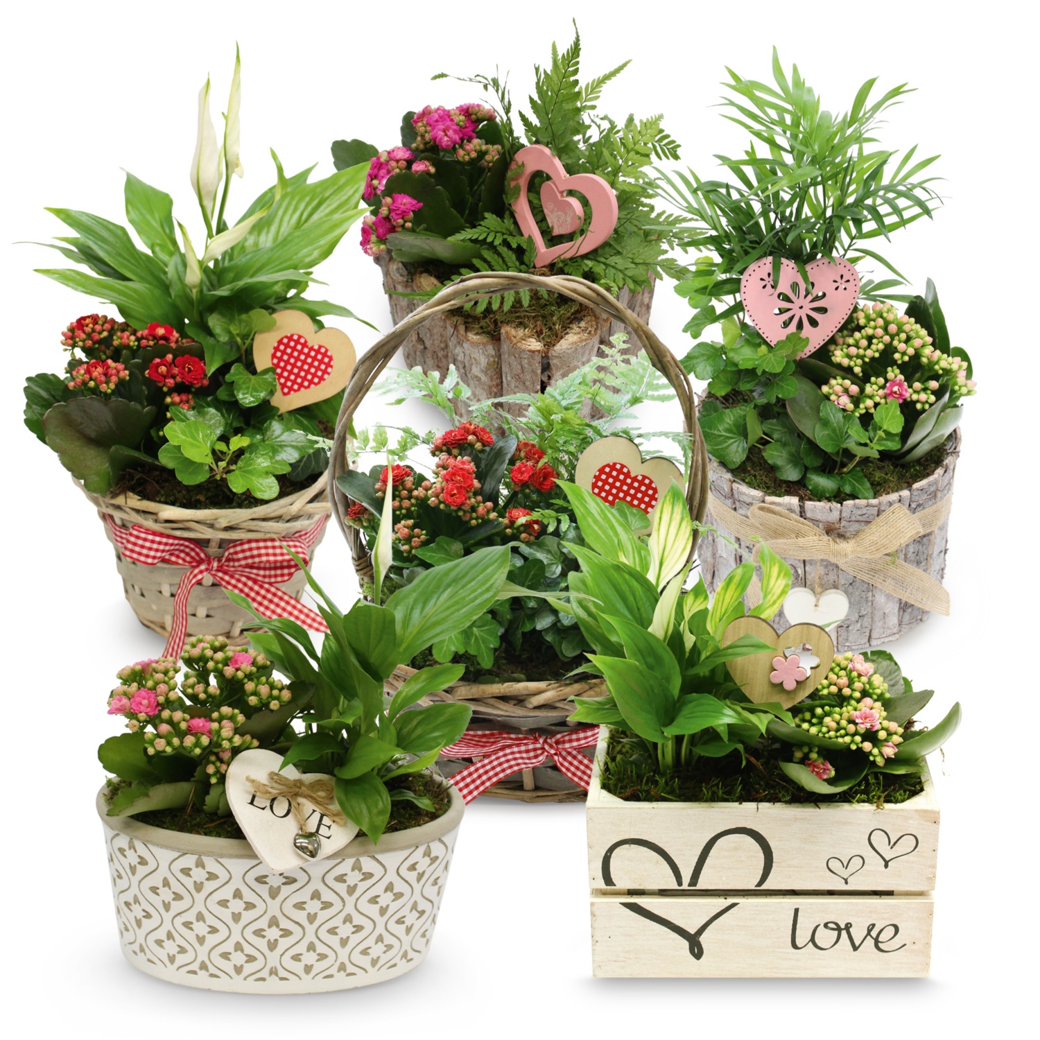 Bepflanztes Valentinsarrangement