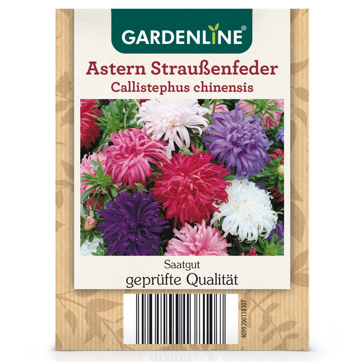 Gemüse-/Blumensamen, Astern