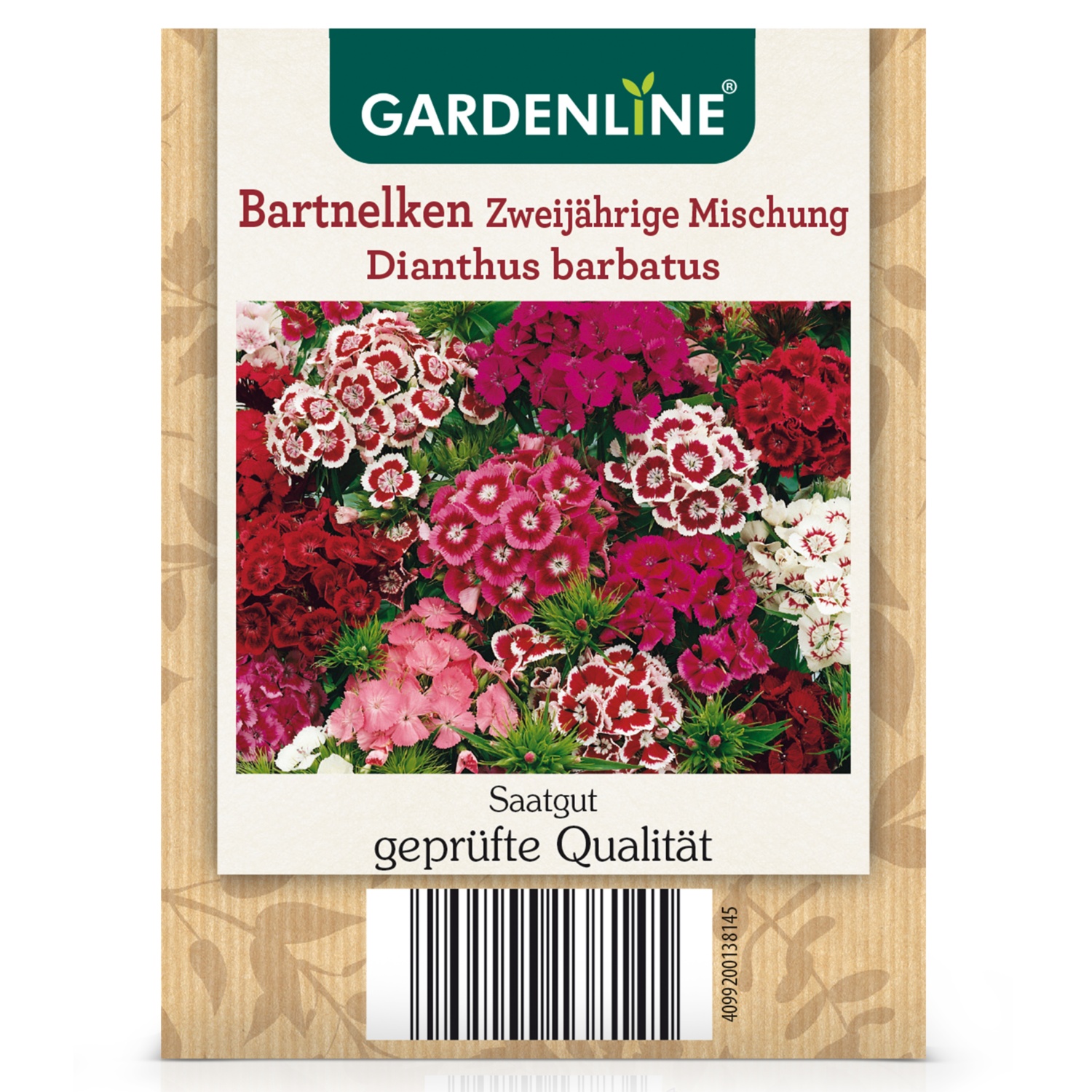 Gemüse-/Blumensamen, Bartnelken