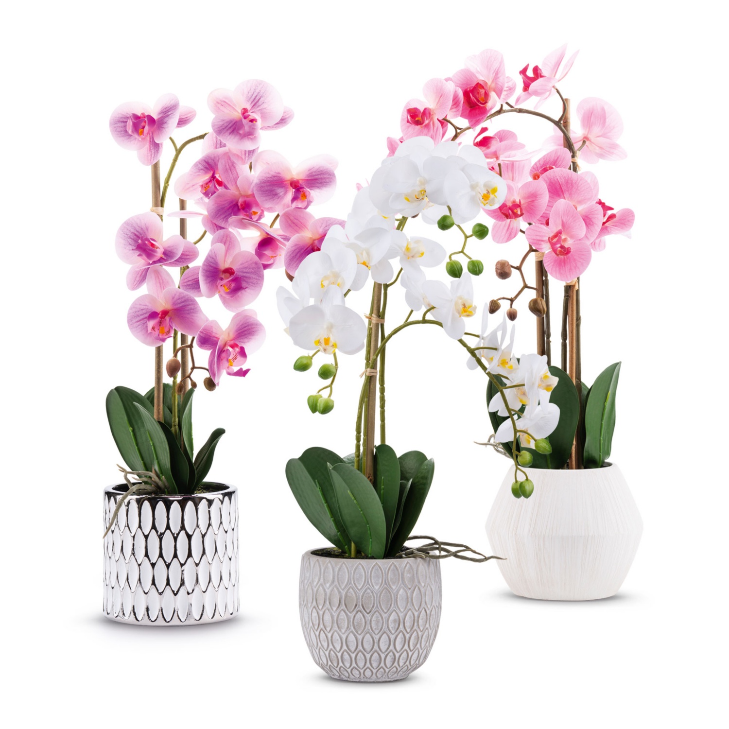 Naturgetreue Orchidee im Topf