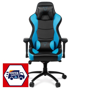 MEDION® ERAZER® X89018 Gaming Sessel