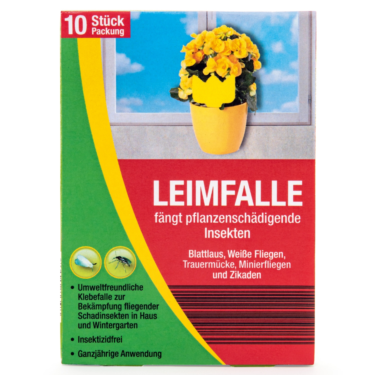 Leimfalle 10er