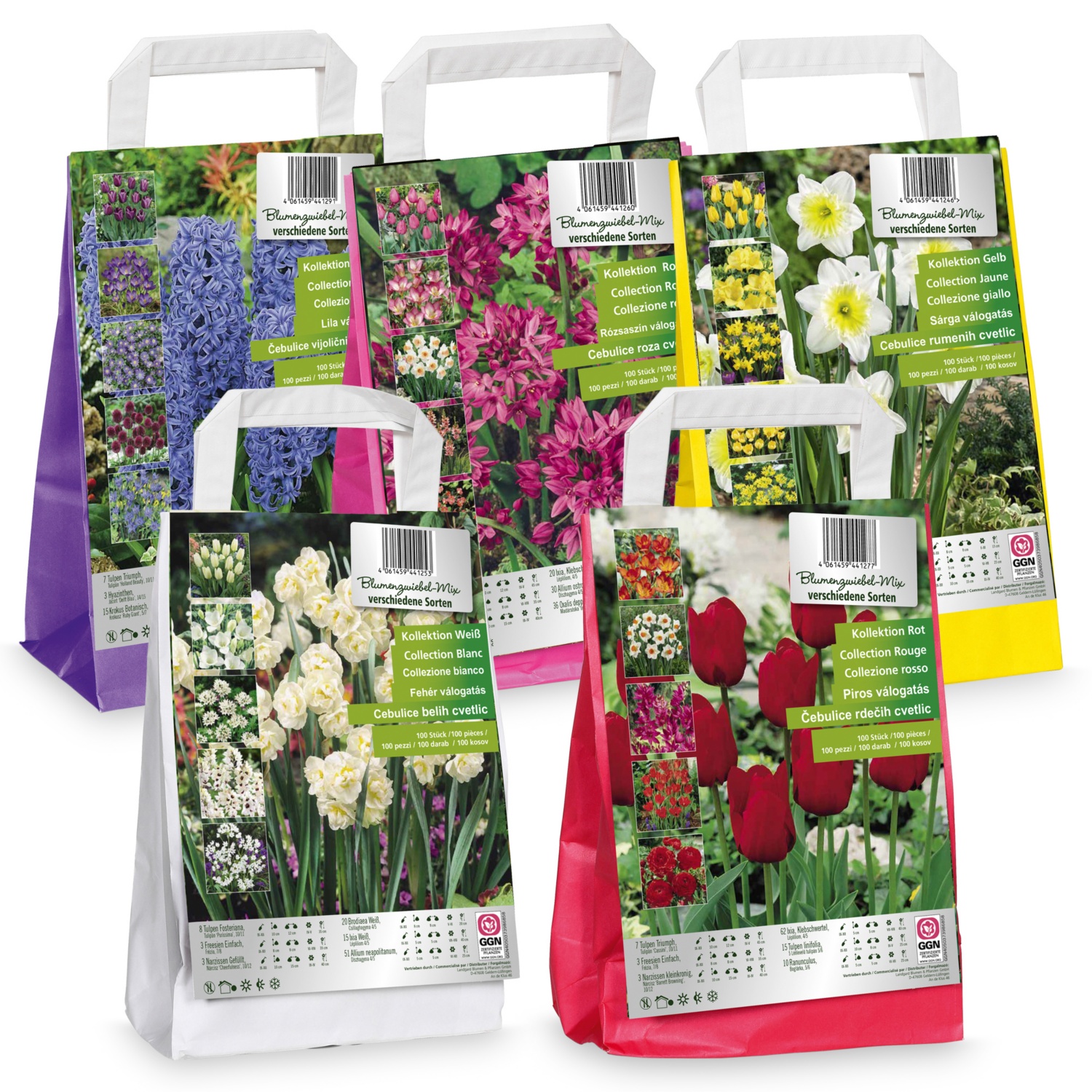 Blumenzwiebel Ton in Ton