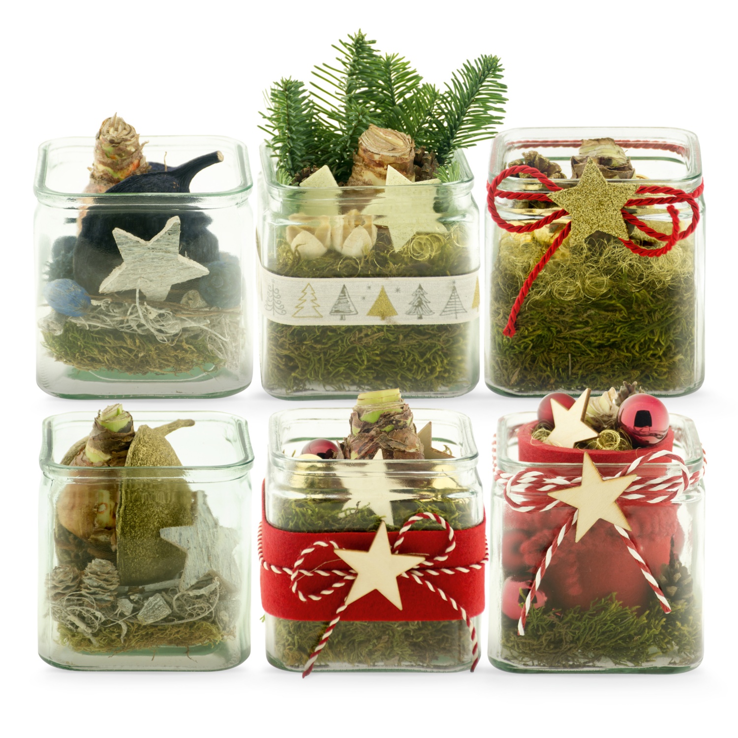 Weihnachtliche Amaryllis im Glas