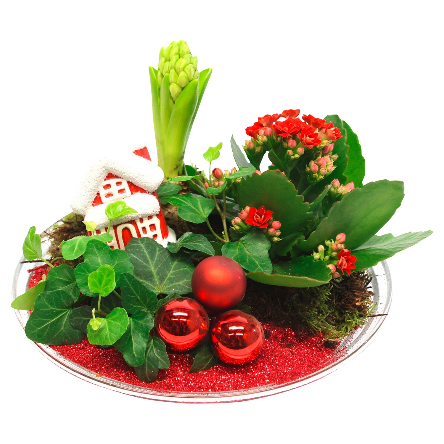 GARDENLINE® Weihnachtspflanzen-Arrangement