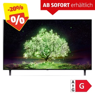 LG OLED TV 121 cm (48“) 48A16LA