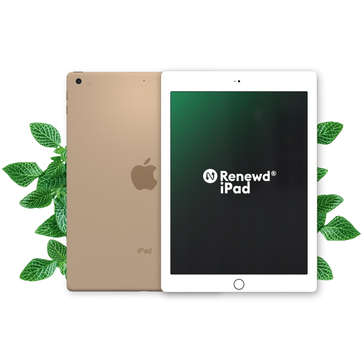 RENEWD iPad 5 (32GB) Gold