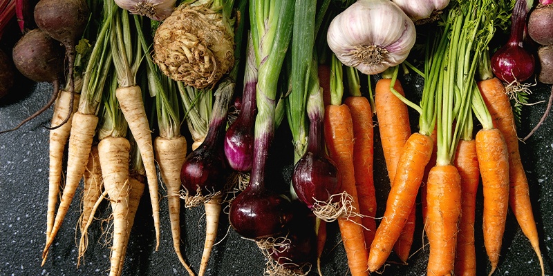 Wintergemüse auf einer Arbeitsfläche