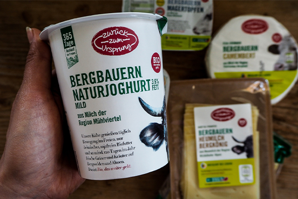 Zurück zum Ursprung Naturjoghurt