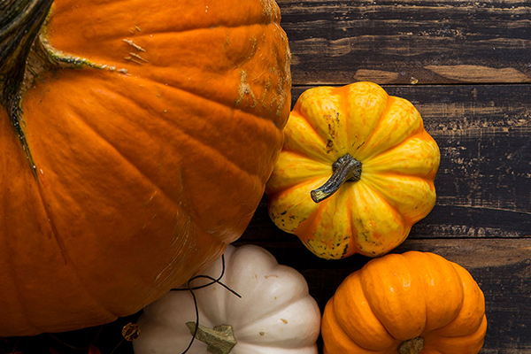 Vier unterschiedliche Kürbissorten