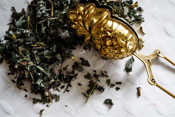 Tee aus Kräutern neben einem Tee-Ei