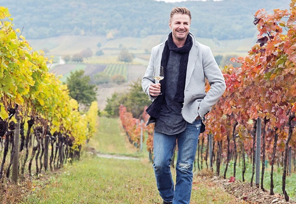 Leo Hillinger steht in Mitten seiner Weinberge mit einem Glas Wein in der Hand.