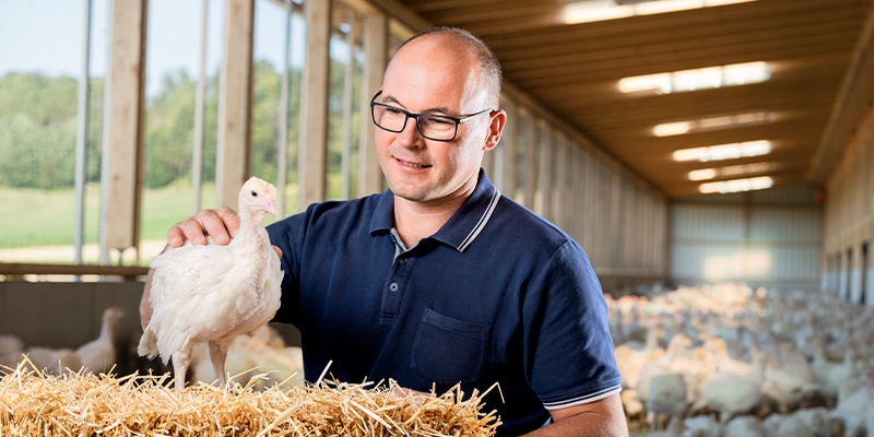 Ein Mann streichelt eine Pute am Heuballen.