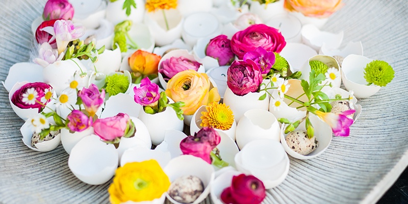 Ein weißer Holzeller mit rosa, gelben und roten Blüten in weißen zerbrochenen Eierschalen