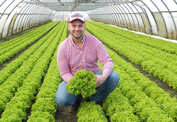 Ein Mann in Mitten eines Salatfelds.
