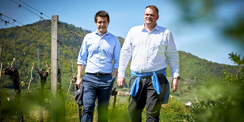 Zwei Männer spazieren über ein Weingut