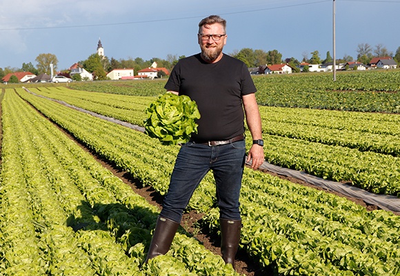 Ein Mann steht auf einem Salatfeld
