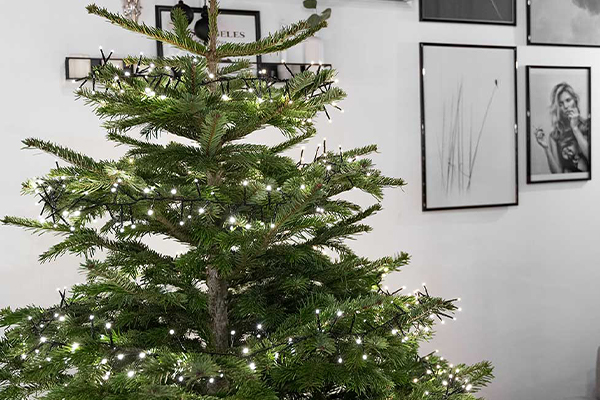 Christbaum mit einer Lichterkette