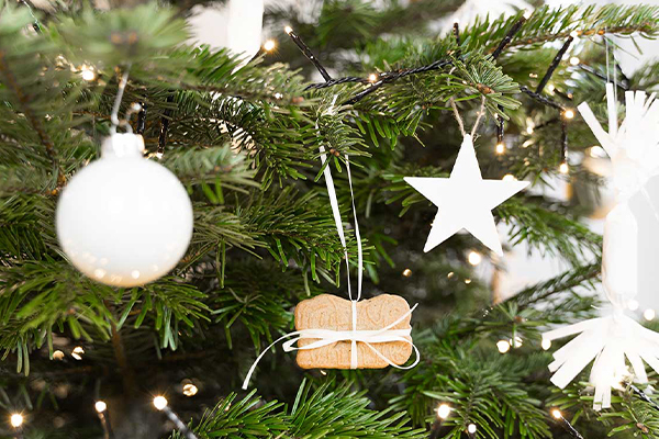 Christbaum mit einem Spekulatiusanhänger