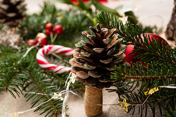 Tannenbaum mit einem Zapfen