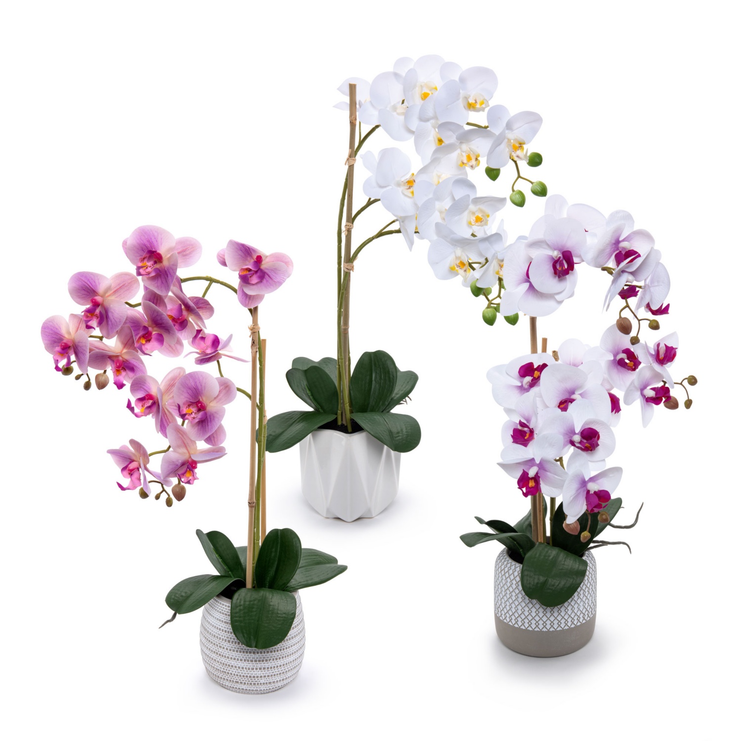 Naturgetreue Orchidee im Topf